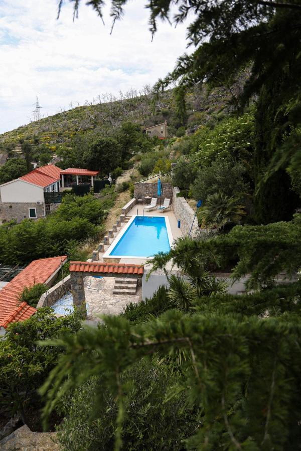 Villa Blanka Žrnovnica Dış mekan fotoğraf