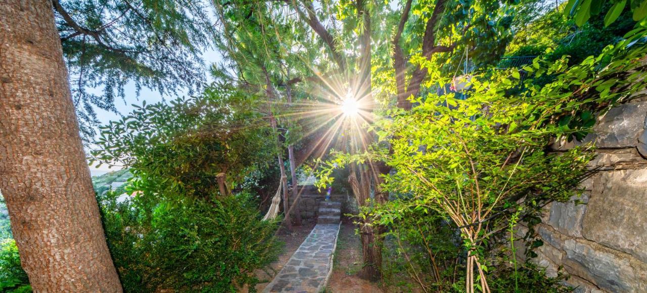 Villa Blanka Žrnovnica Dış mekan fotoğraf