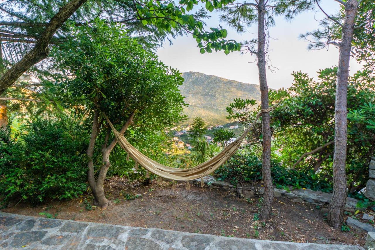 Villa Blanka Žrnovnica Dış mekan fotoğraf