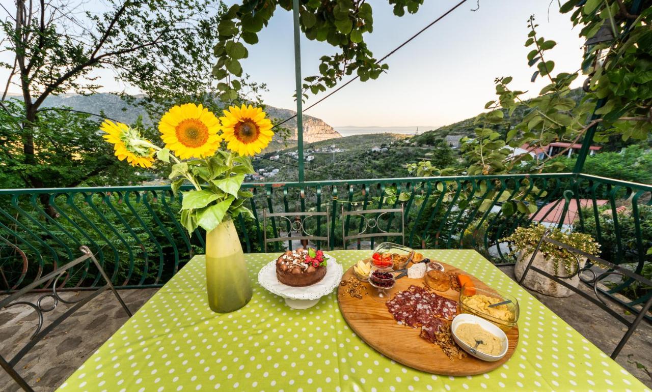 Villa Blanka Žrnovnica Dış mekan fotoğraf